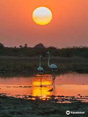 Little Rann of Kutch