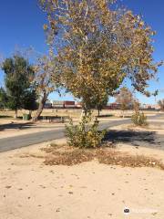 Mojave Narrows Regional Park