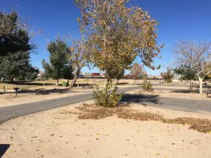 Mojave Narrows Regional Park