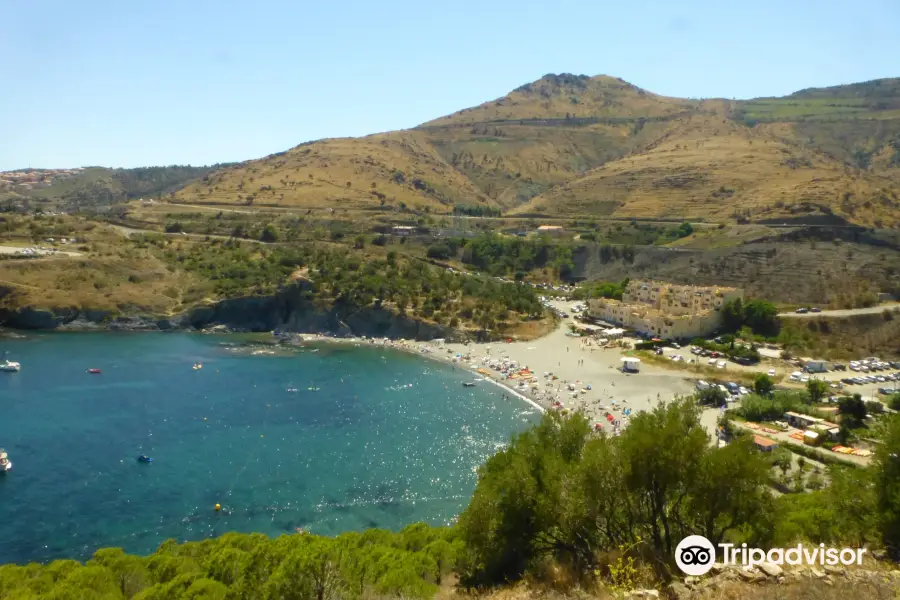 Le Sentier Sous-Marin de Cerbère-Banyuls