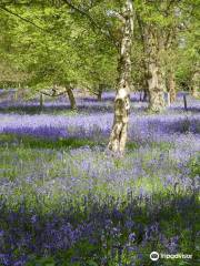 Harcourt Arboretum (University of Oxford)