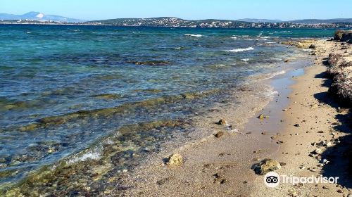 Altınkum Plajı (Goldensand Beach)