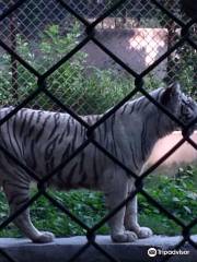 Lucknow zoo