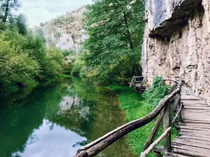 Riverside Landscape Park "Panega"