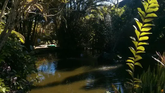 Parque Ecologico A Tribuna