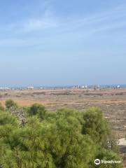 Famagusta Viewpoint