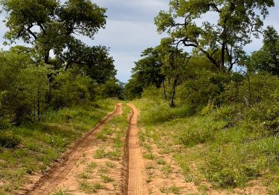 Mangetti National Park