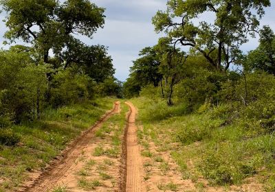 Grootfontein