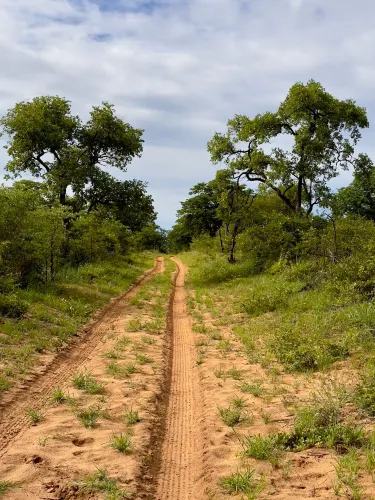 Grootfontein