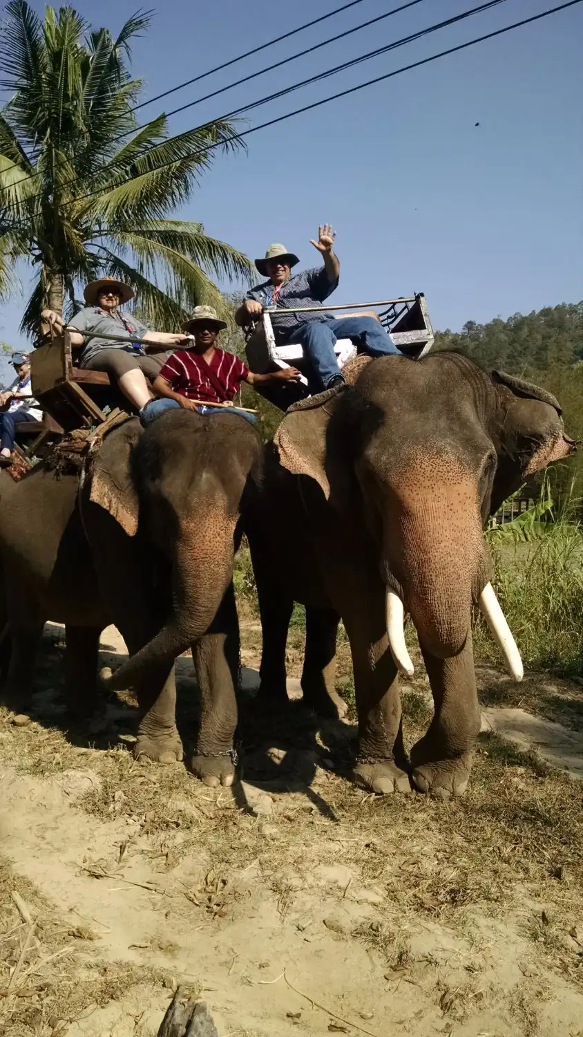 Hotels in der Nähe von Elephant Kingdom