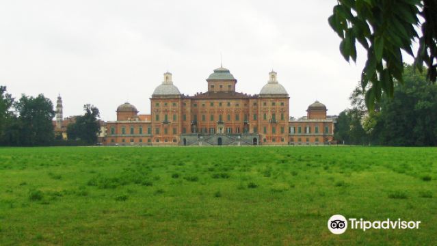 พระราชวังตูริน + พิพิธภัณฑ์ศิลปะตะวันออก + พิพิธภัณฑ์อียิปต์ + พิพิธภัณฑ์ยานยนต์แห่งชาติอิตาลี + พิพิธภัณฑ์ยูเวนตุส + ทัวร์วันเดียว/ทัวร์หลายวัน