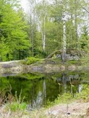 Baumwipfelpfad Bayerischer Wald