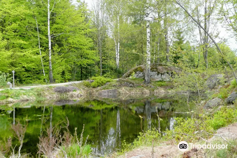 Baumwipfelpfad Bayerischer Wald