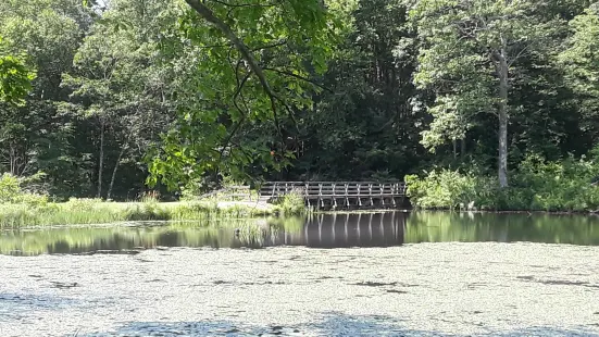 ゲイ・シティ州立公園