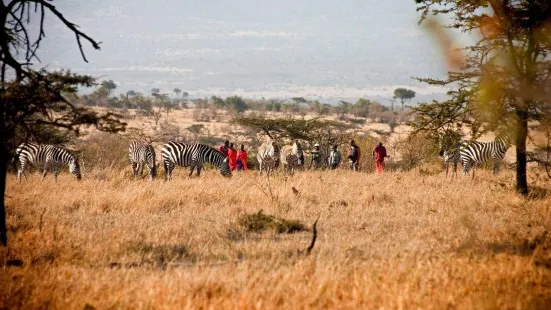 Serene East Africa Safaris Limited