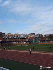 Ciudad Deportiva Carranque