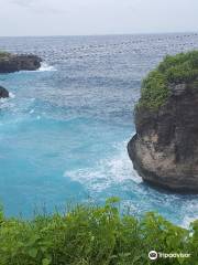 Flying Fox Nusa Penida