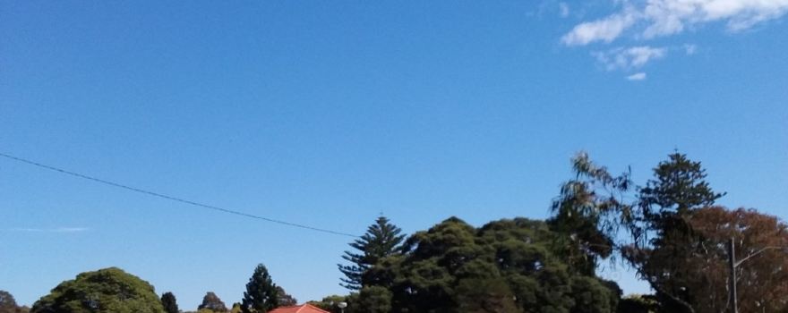Ashfield Park