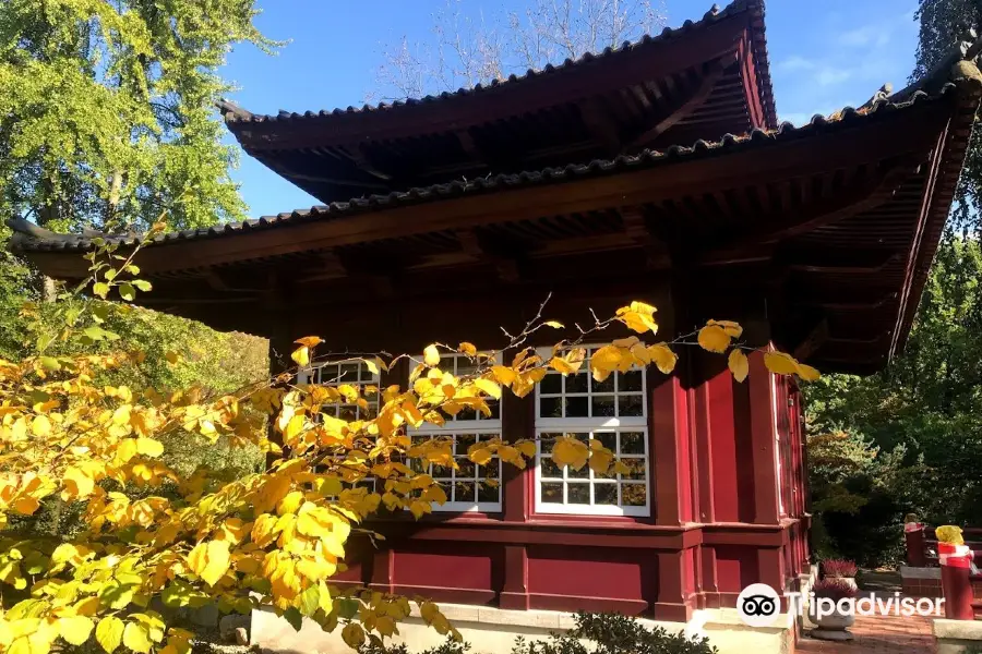 Japanese Garden Leverkusen