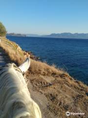 Horse riding on Aegina