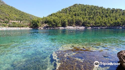 Pupnatska Luca Beach