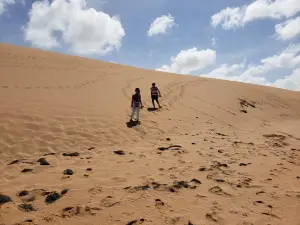 Las Dunas del Taroa