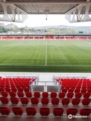 The Ryan McBride Brandywell Stadium.