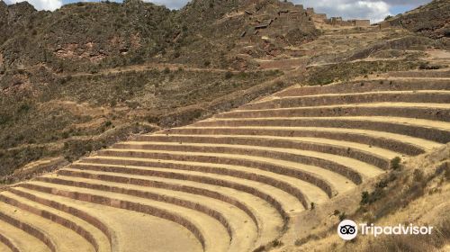 Terrazas Agricolas Periodo Inca