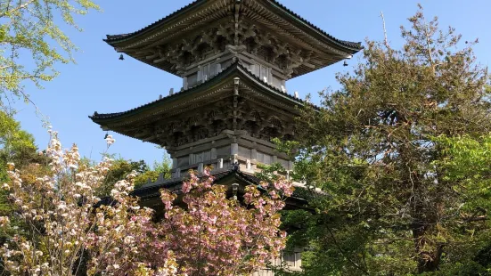 越後國分寺（五智國分寺）