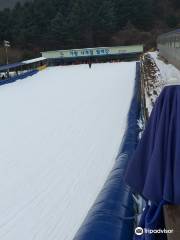 Gapyeong Sledding Hills