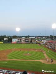 Hammons Field