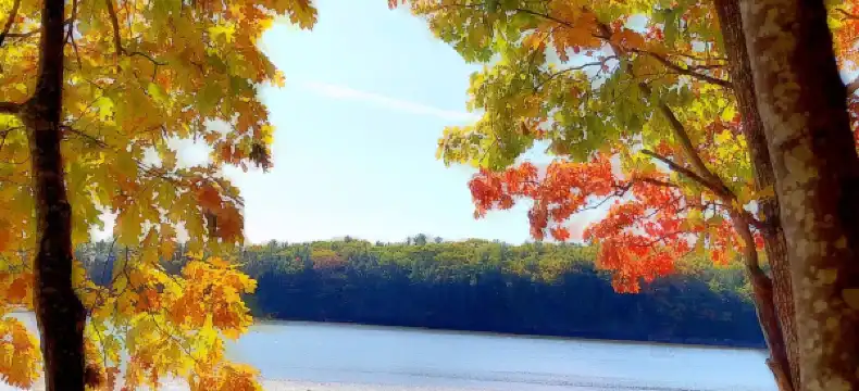 Hotels in Strafford County