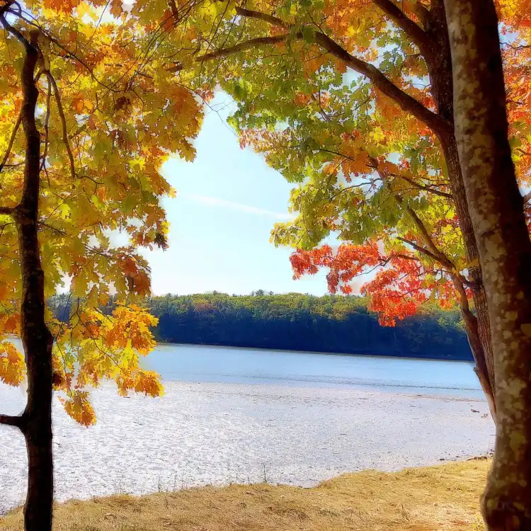 Hotels in Strafford County