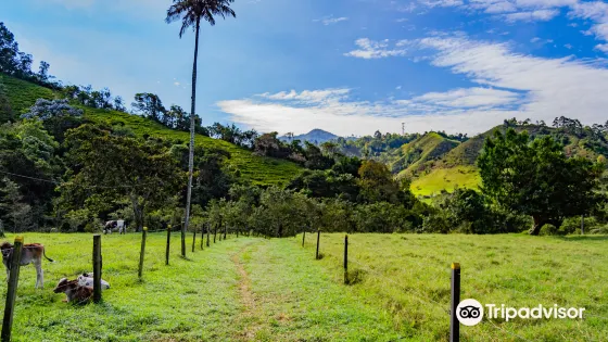 Reserva Ecologica Santa Rita