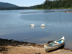 Fish Lake Resort