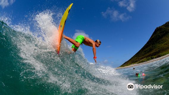 Saint Martin Surf Club
