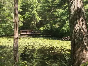 Hopeville Pond State Park