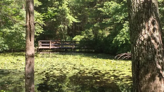 Hopeville Pond State Park