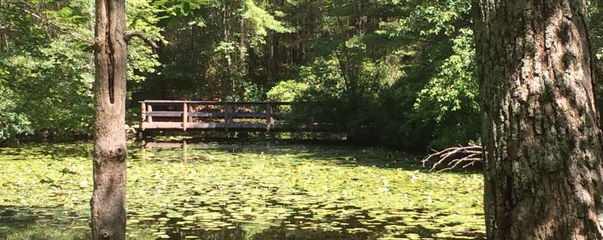 Hopeville Pond State Park