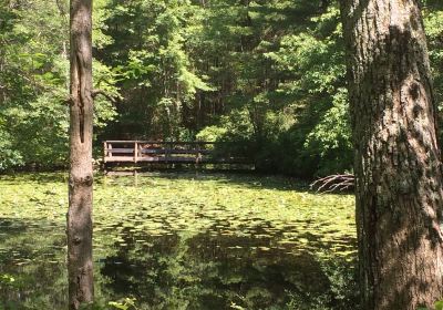 Hopeville Pond State Park