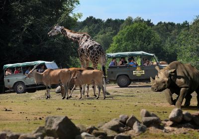 Ree Park Safari