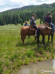 Winter Hawk Trail Rides