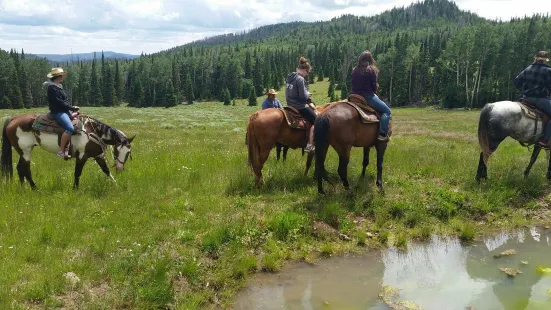 Winter Hawk Trail Rides