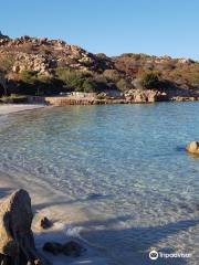 Spiaggia del dottore