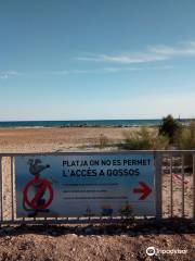 Playa de Les Salines