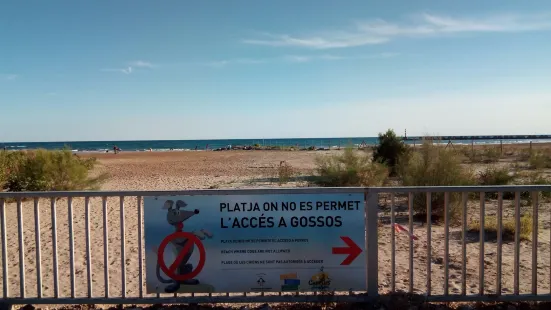 Playa de Les Salines