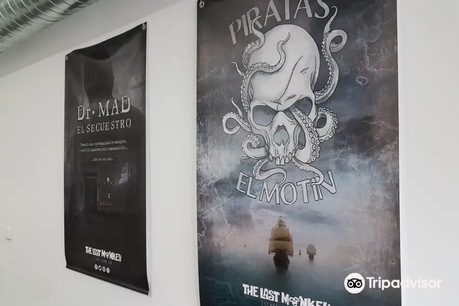 The Last Monkey: Escape room Madrid