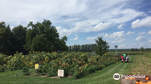 Andrews' Scenic Acres