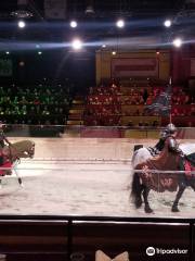 Medieval Times Dinner & Tournament