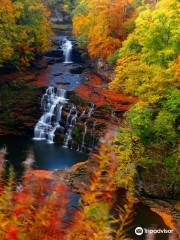 The Falls of Clyde